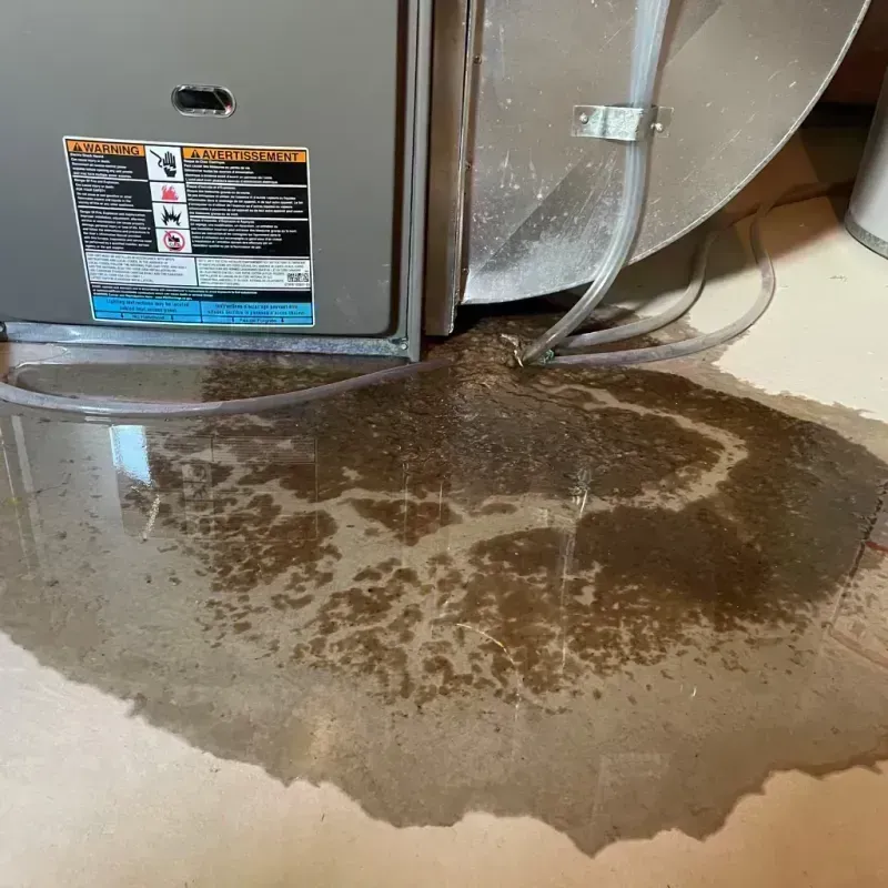 Appliance Leak Cleanup in Bean Station, TN